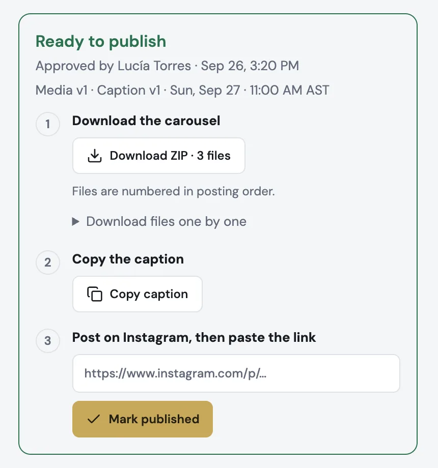 The Publish kit: download the carousel as a ZIP, copy the caption and paste the Instagram link to mark the post published.